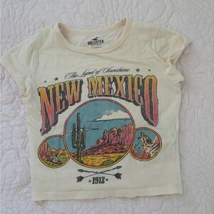Hollister Cream New Mexico Graphic Crop Top